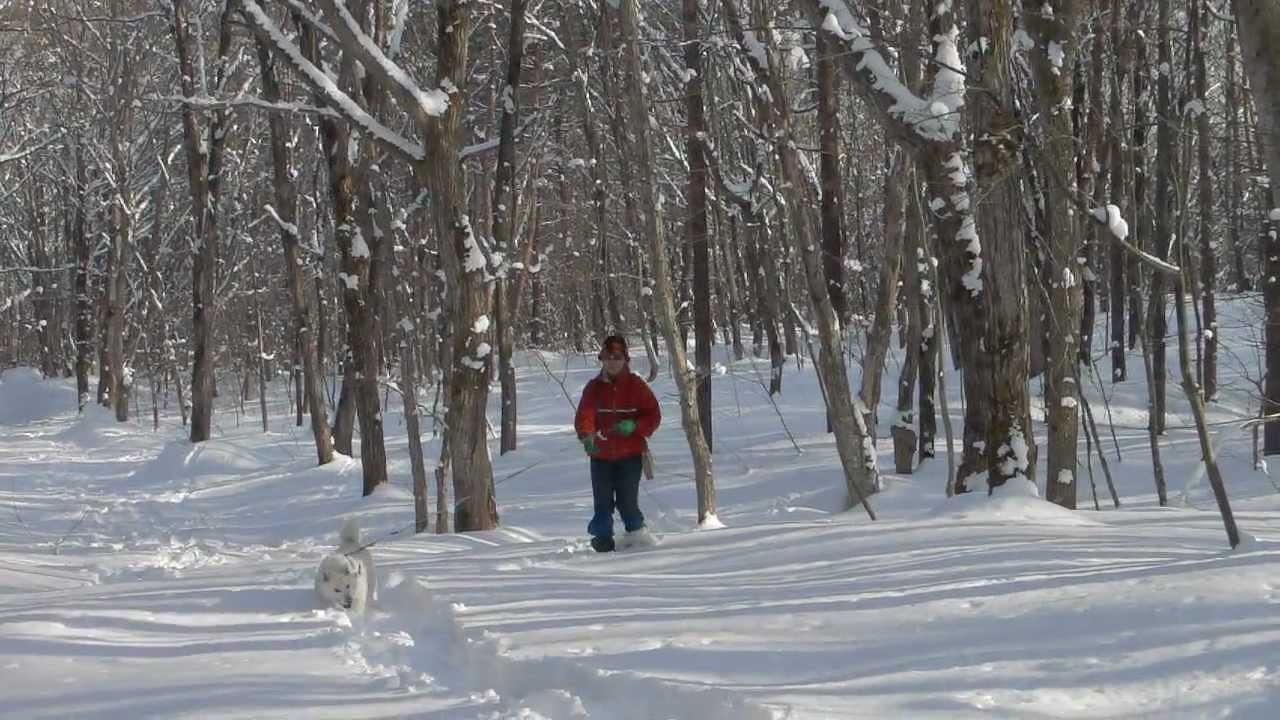 スノーシュー散歩-3