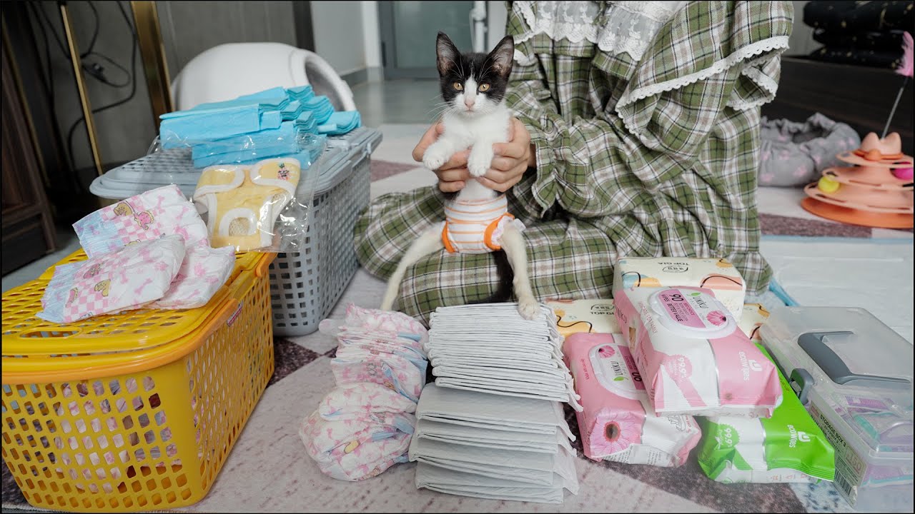 捨てられた不自由な子猫を保護して人生が変わった話・まるで赤ちゃんが生まれたような生活に