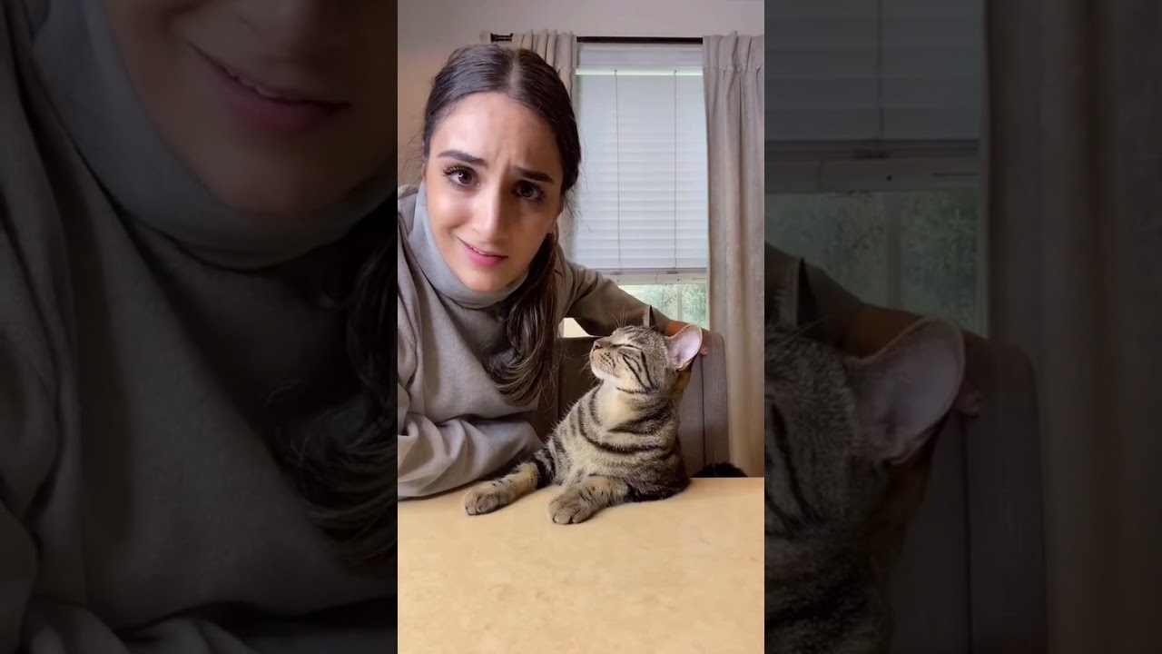 Ladies, You don’t need a man to give you attention!  #shorts