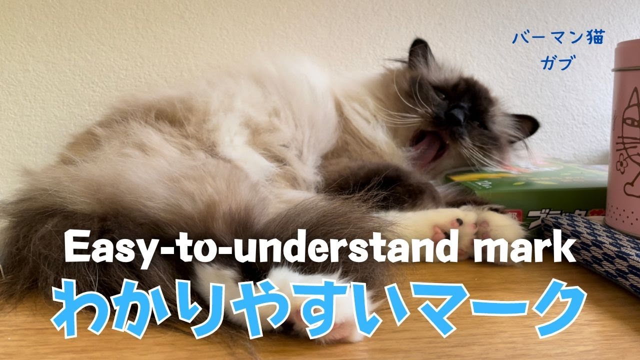 これはなんのマーク？【わかりやすいマーク】Easy-to-understand mark（バーマン猫）Birman/Cat