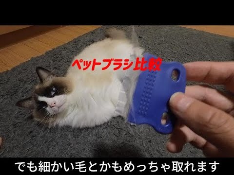 ペット用ブラシを比較してみた♫お勧めのブラシもご紹介✨#ラグドール#ペットグッツ#アイテム比較#猫#犬
