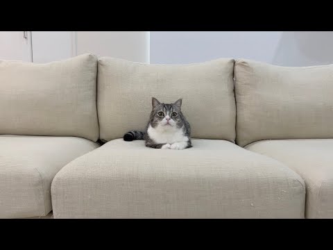 もち様　3年間ありがとう