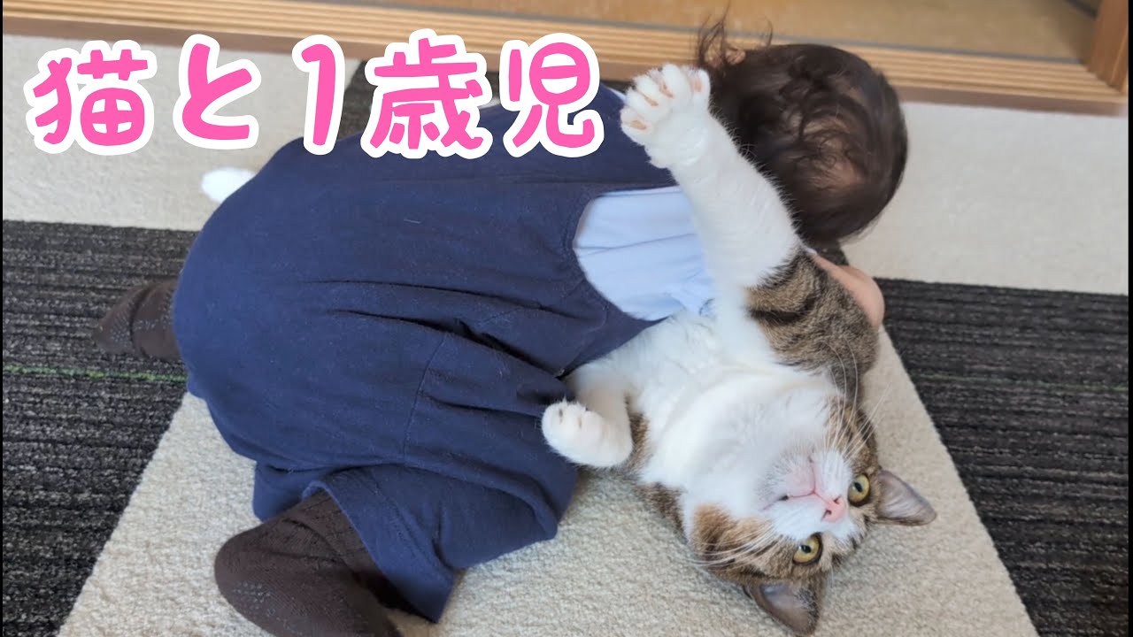 猫と1歳児のあれこれ。vol.1096