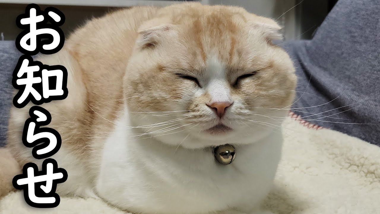 皆様にお知らせがあります