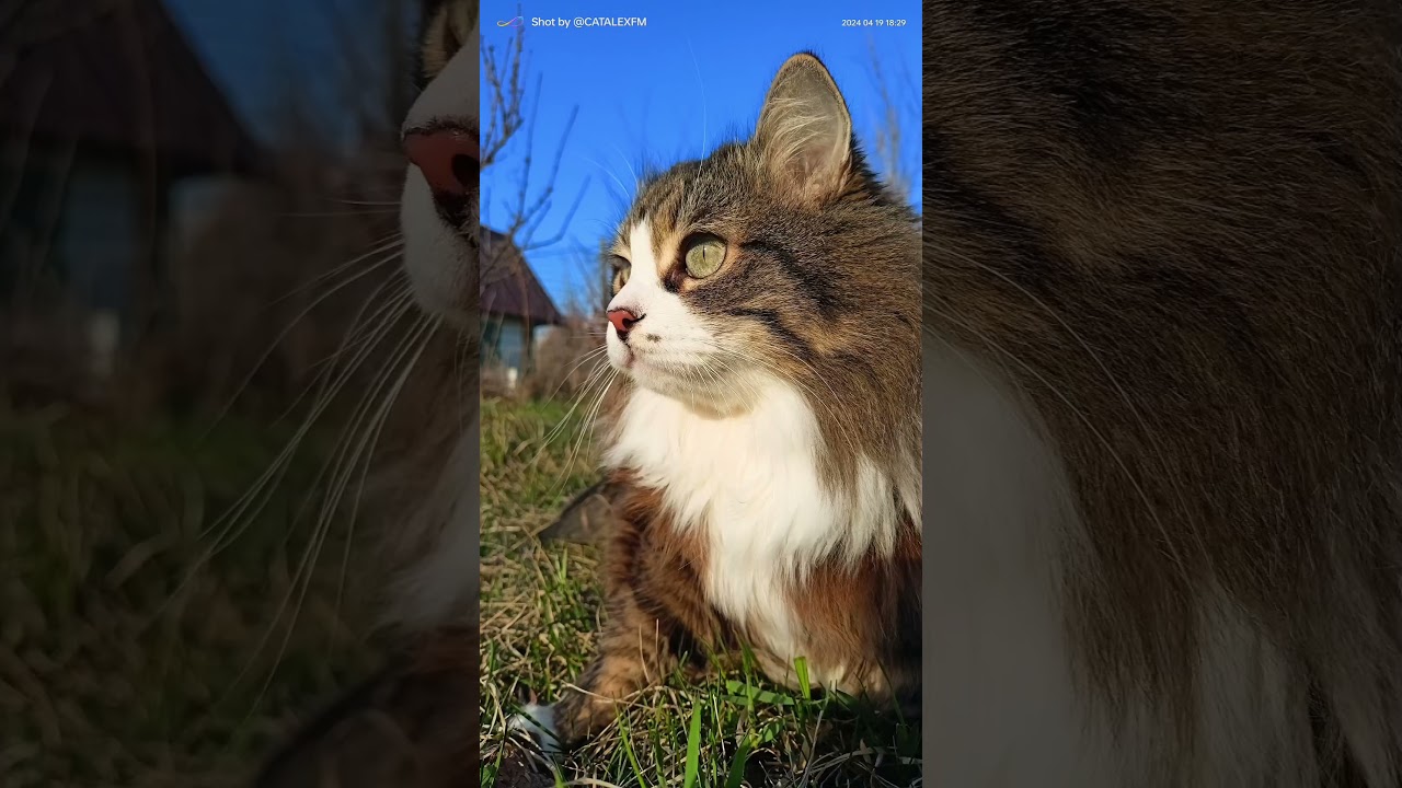 СПАСИБО ТЕБЕ