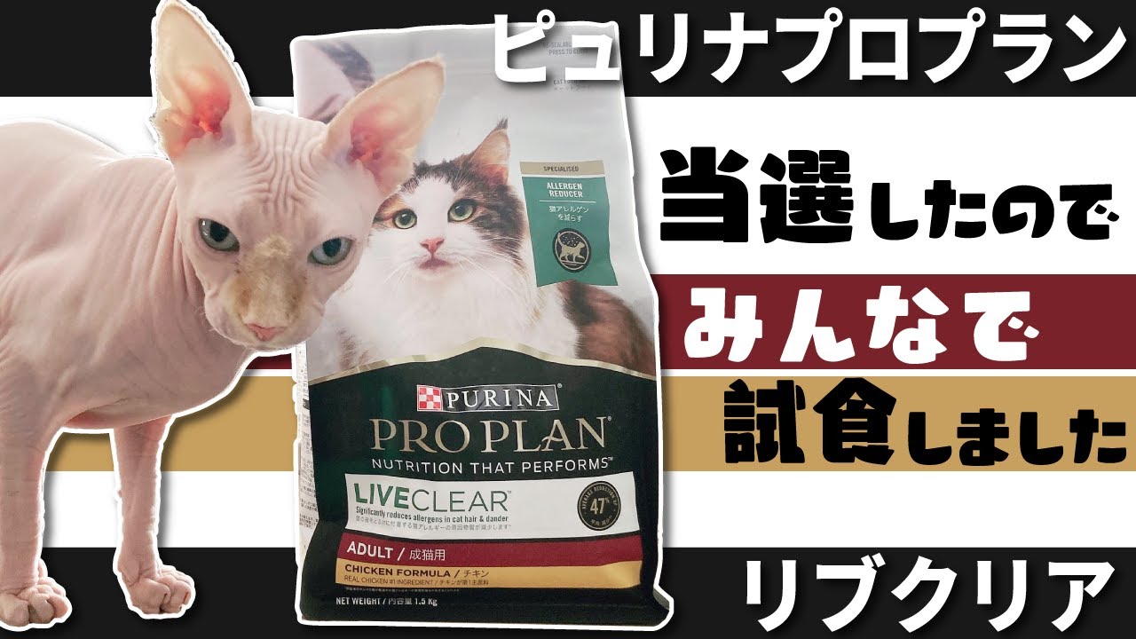 【みんなで試食】ピュリナプロプラン リブクリアが当たったよ【スフィンクス】
