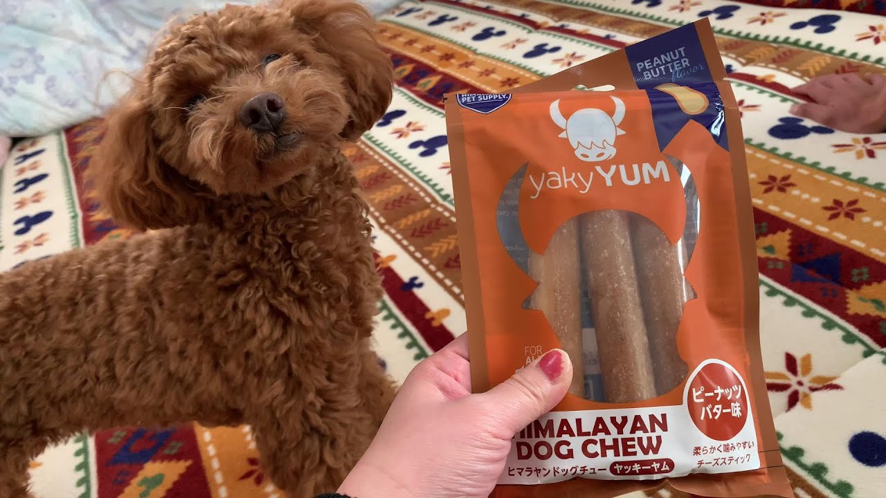 【ヒマラヤンドッグチュー】ヤッキーヤム食べてみた★
