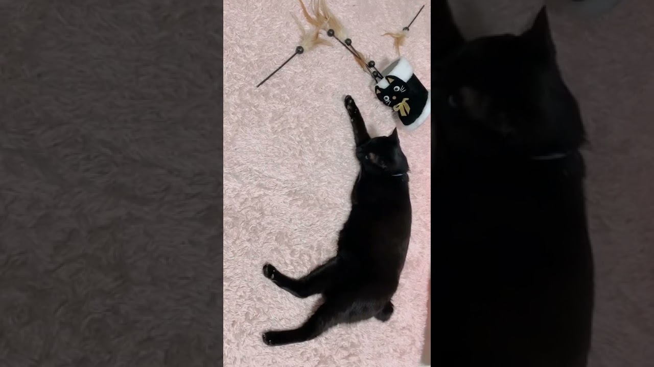 誕生日🎂配信後の楽屋…🤫😂