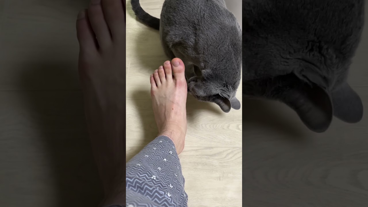 나는 좋아해 너의 발냄새