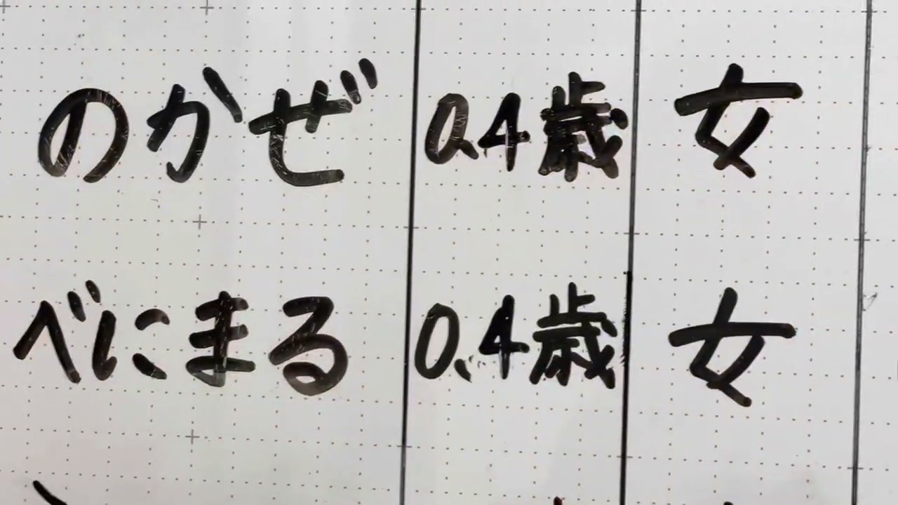 スーパー猫の日2022年2月22日〜ジオラマ食堂の想い出