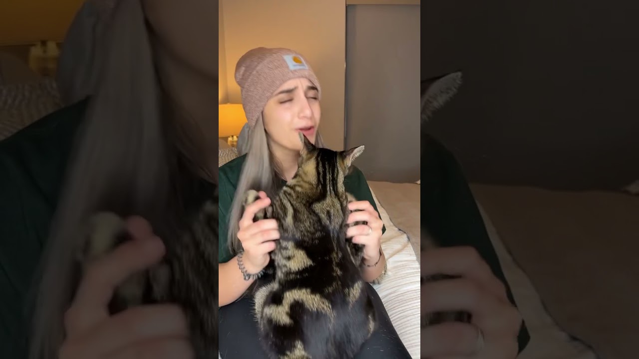 HE REALLY IS MOMMY’S BABY 😹#shorts