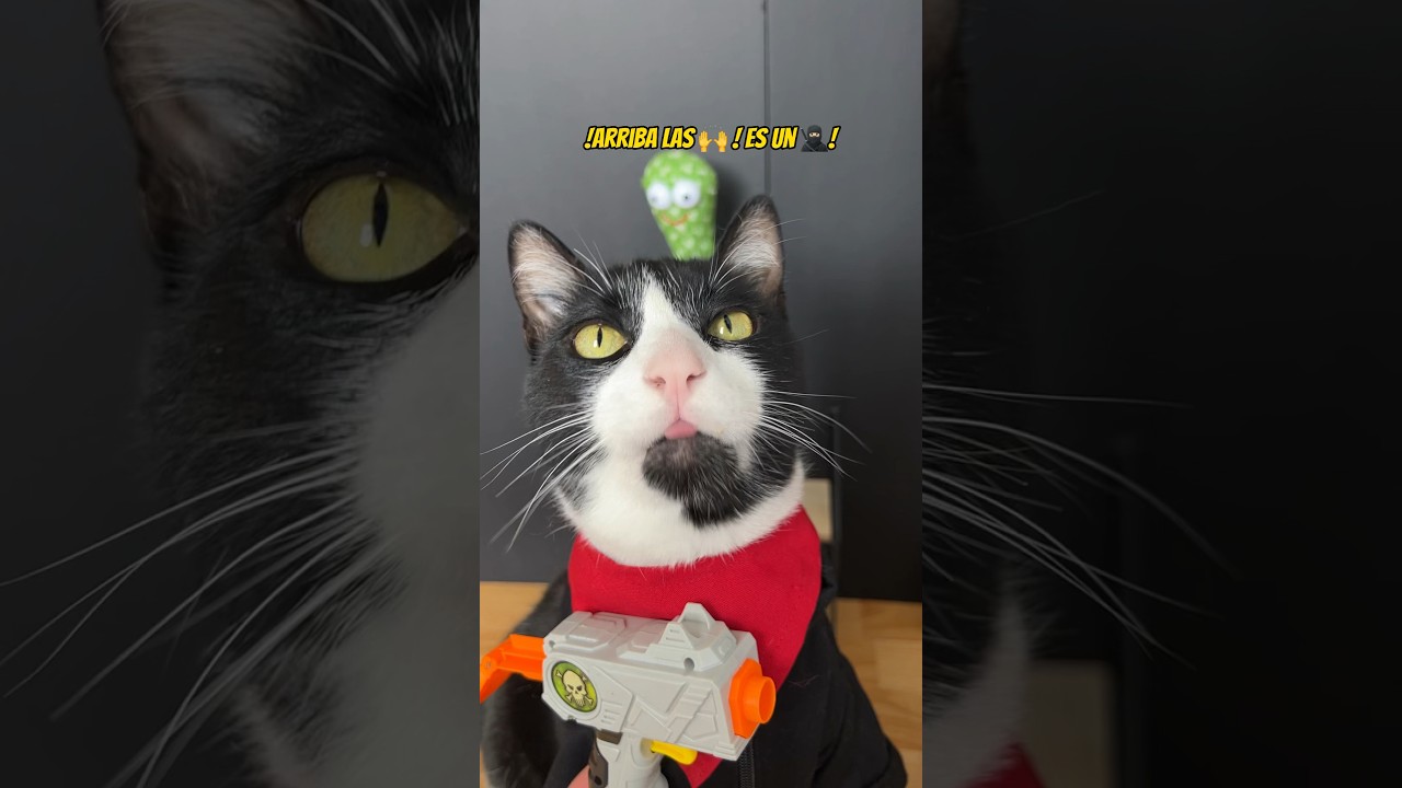 Arriba las manos! Esto es 🥷🏻!