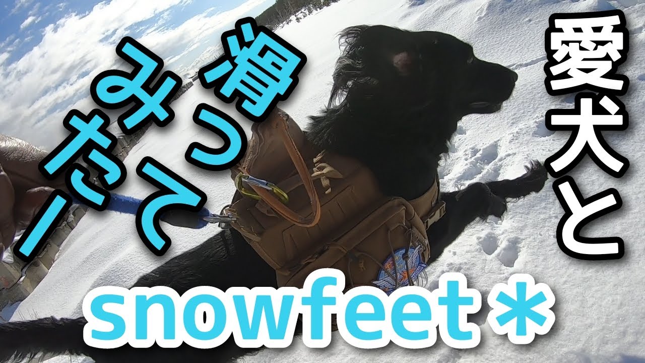 愛犬と奇跡の初滑り　スノーフィート＊シーズンⅠ　その1　【フラットコーテッドレトリーバー＃80】