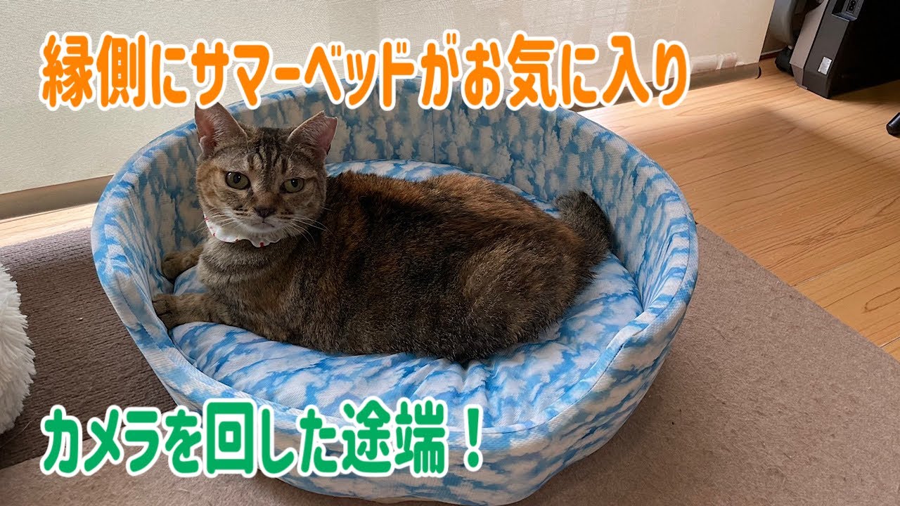 最近のなじゅ様って撮影（仕事）される事に慣れすぎていませんか？