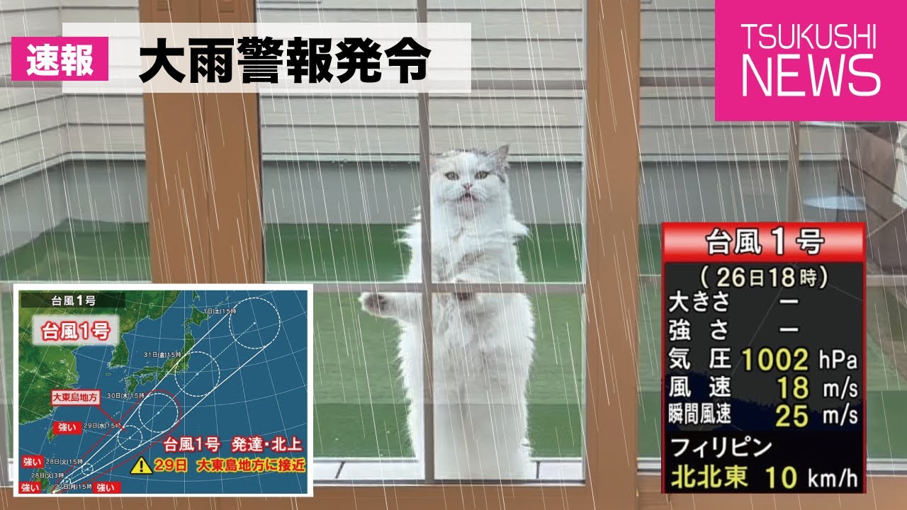 【台風】警報が出てるのに外に遊びにいってしまった猫がこうなってました【関西弁でしゃべる猫】【猫アテレコ】