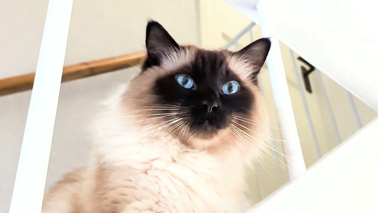 毎日リッちゃん2024/06/08