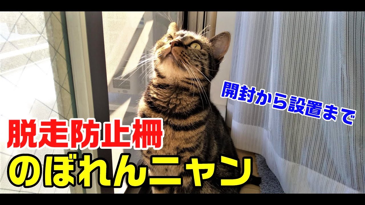 【猫の脱走防止】のぼれんニャン(バリアフリーⅡ)を設置してみた！