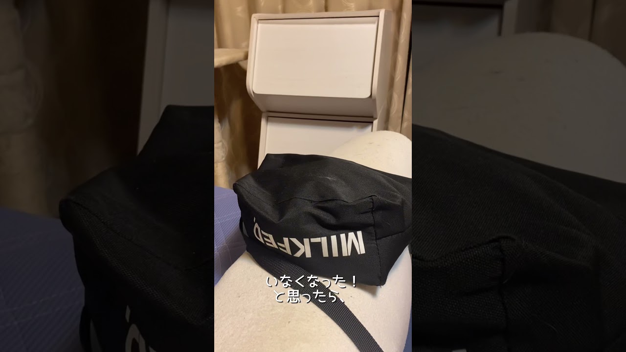 【ペルシャ猫】お気に入りのカバンがこちら。#shorts