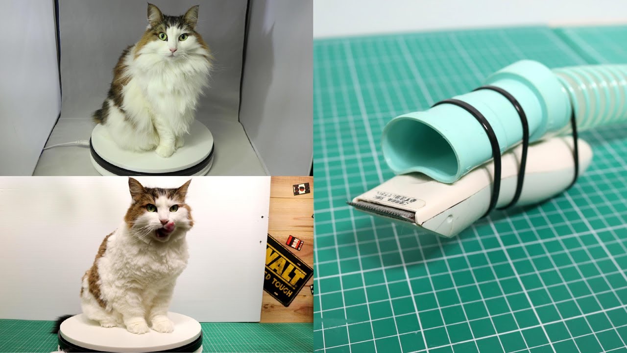 簡単自作掃除機バリカンで猫の毛球症を予防！長めのセルフサマーカット（ノルウェージャンフォレストキャット）