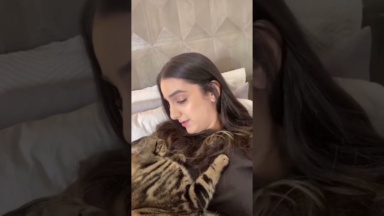 Chase understands everything I tell him  #shorts