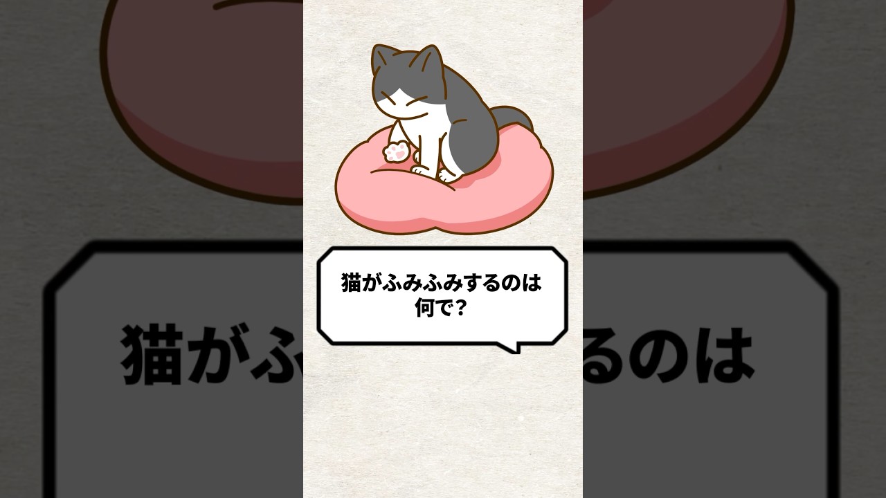 Q：猫がふみふみするのは何で？ #猫 #猫好き #ねこ