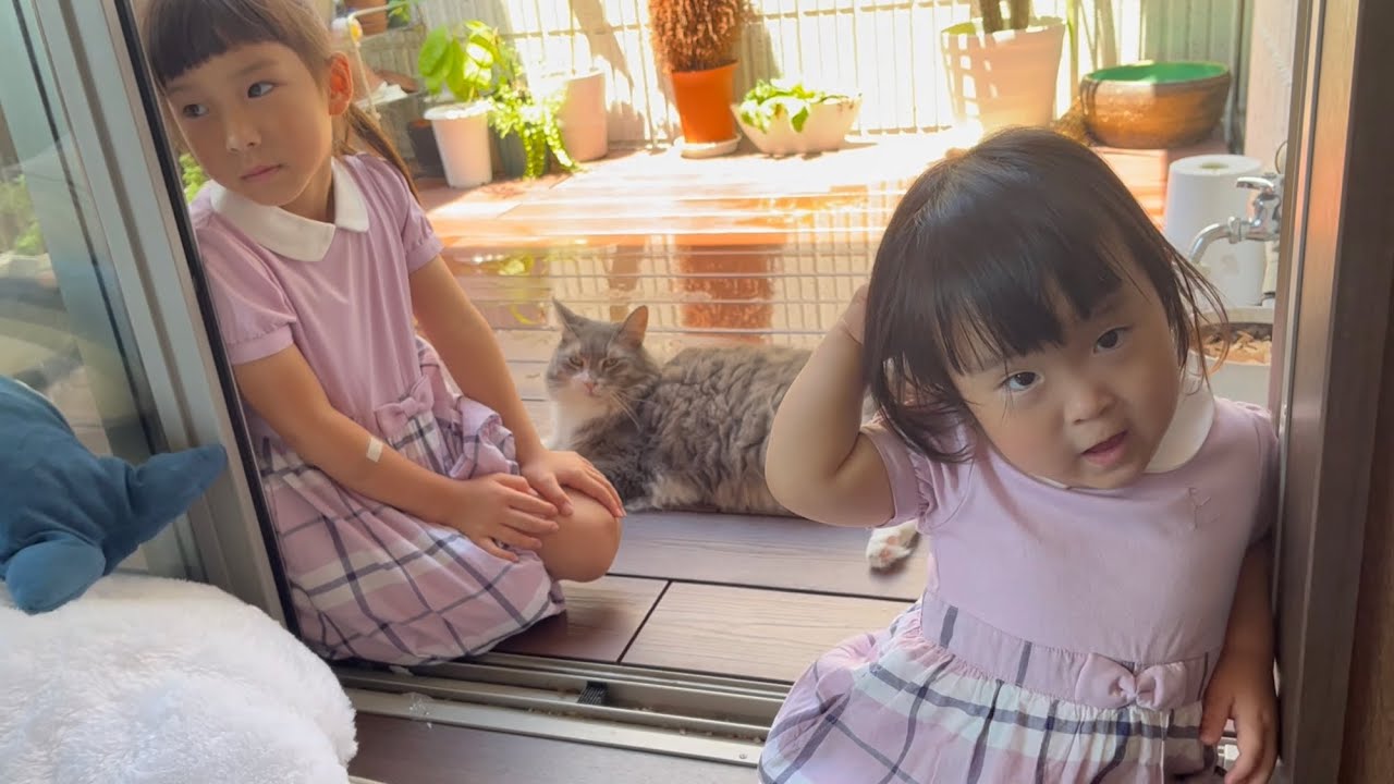 姉妹のかくれんぼに巻き込まれる猫　ノルウェージャンフォレストキャット　A cat gets caught up in a game of hide-and-seek between sisters