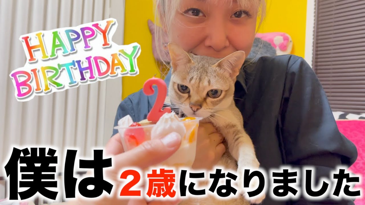 我が家の末っ子ビートが2歳になりました