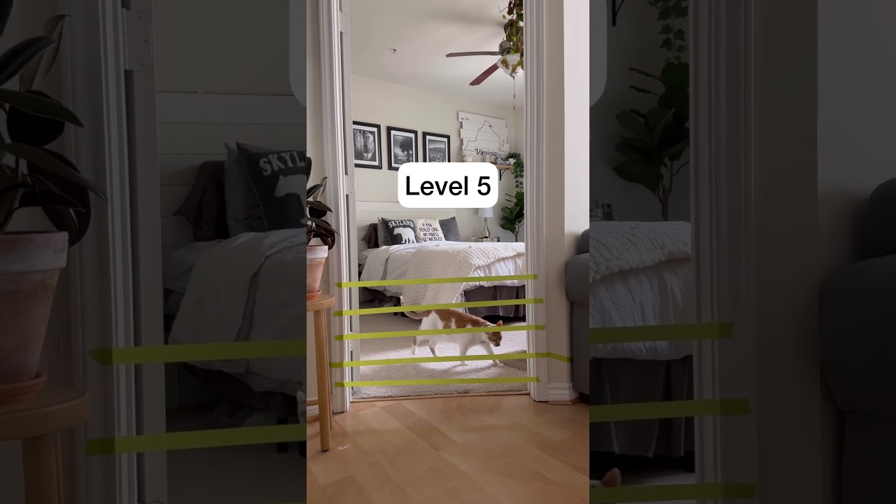 I Did NOT Expect That! | CatManJohn #catmanjohn #talkingcats #aiclearner #cat