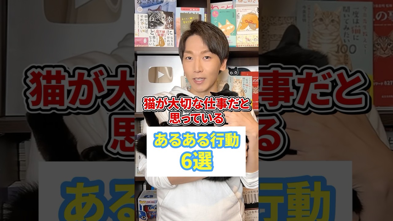 猫が大切な仕事だと思ってるあるある行動6選 #猫 #猫のいる暮らし #ねこ