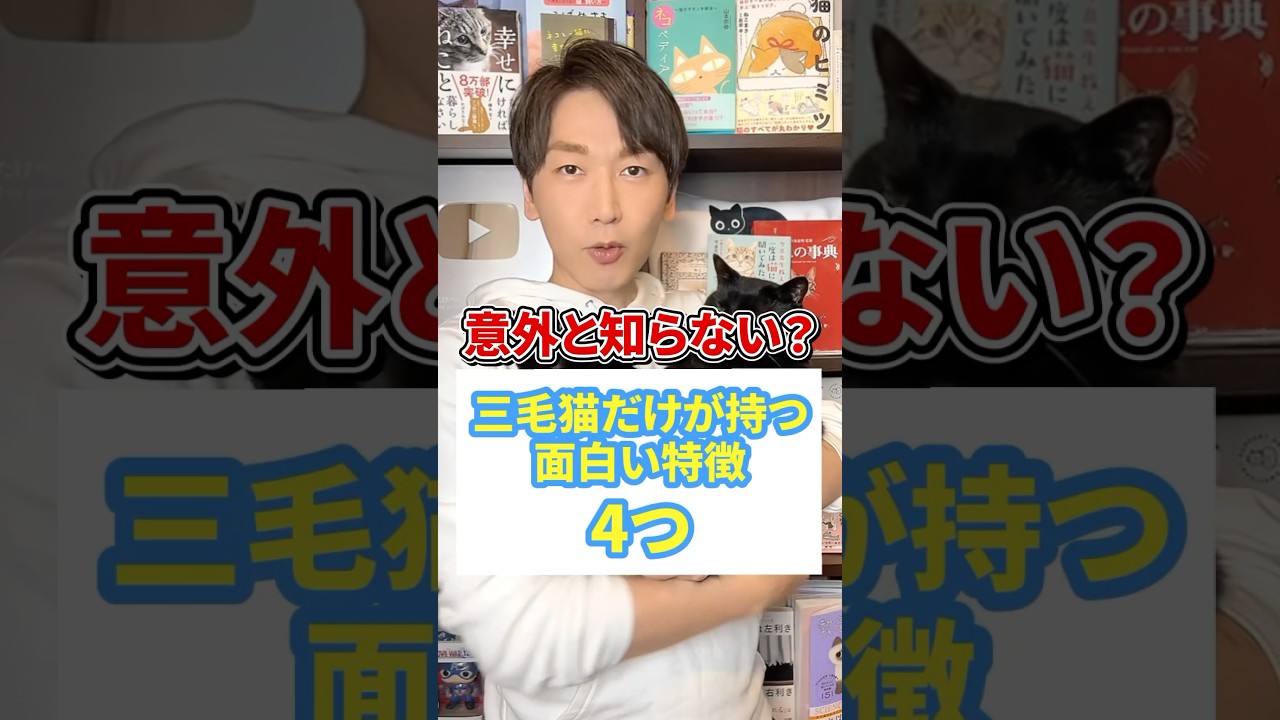 意外と知らない？三毛猫だけが持つ面白い特徴4つ #猫 #猫のいる暮らし #三毛猫 #ねこ