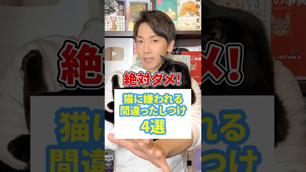 絶対ダメ！猫に嫌われる間違ったしつけ4選 #猫 #猫のいる暮らし #ねこ