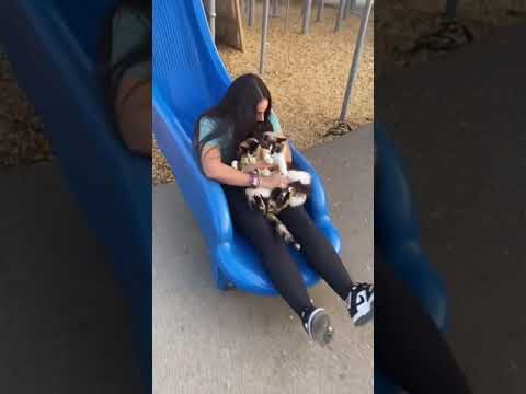 I can’t believe they left us! 😿 #shorts