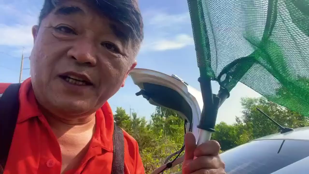 シャムオリエンタリス　ガサガサ　久武けいしの徒然草 がライブ配信中！