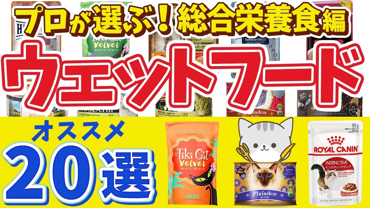 【猫缶のオススメ 20選！】猫のウェットフードをプロが厳選してご紹介！