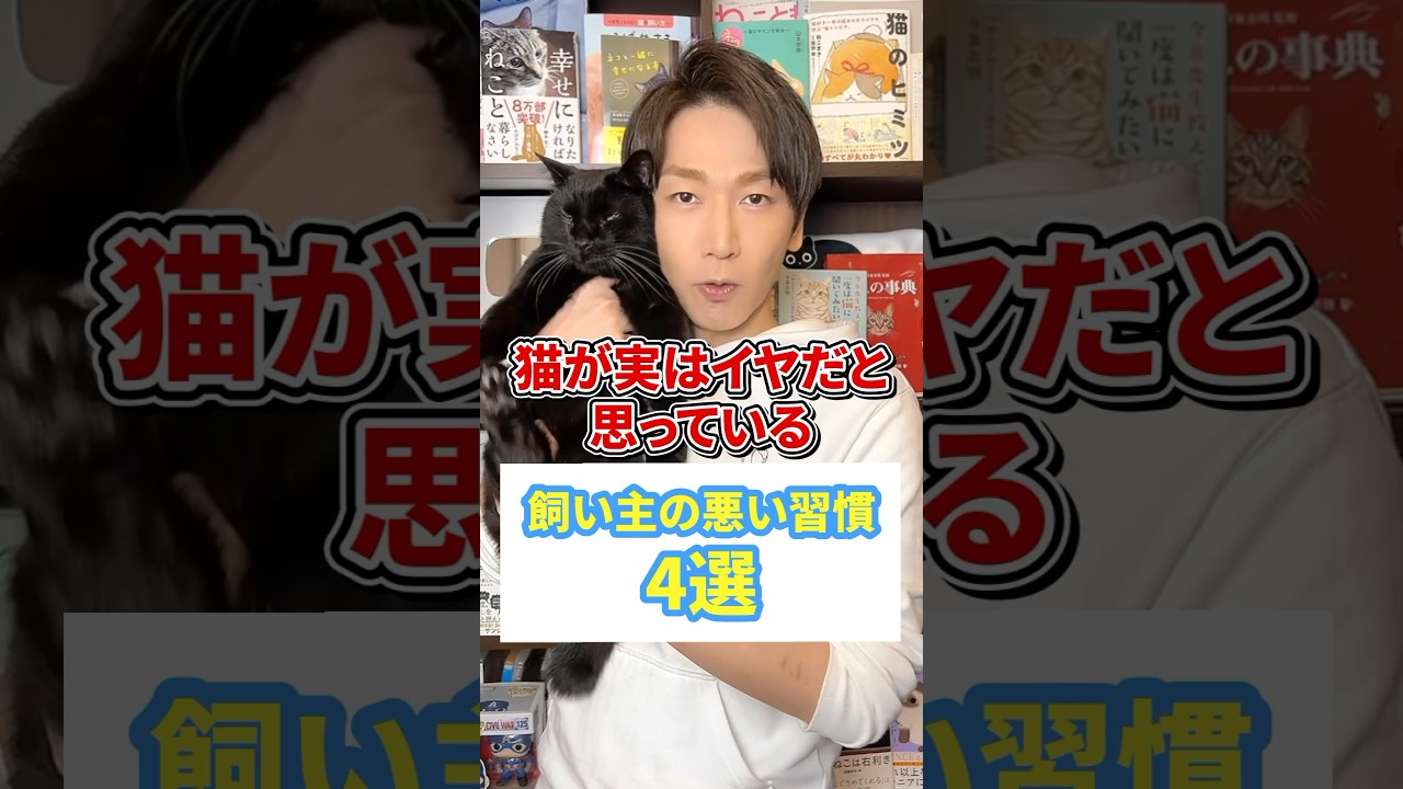 猫が実はイヤだと思ってる飼い主の悪い習慣4選 #猫 #猫のいる暮らし #ねこ