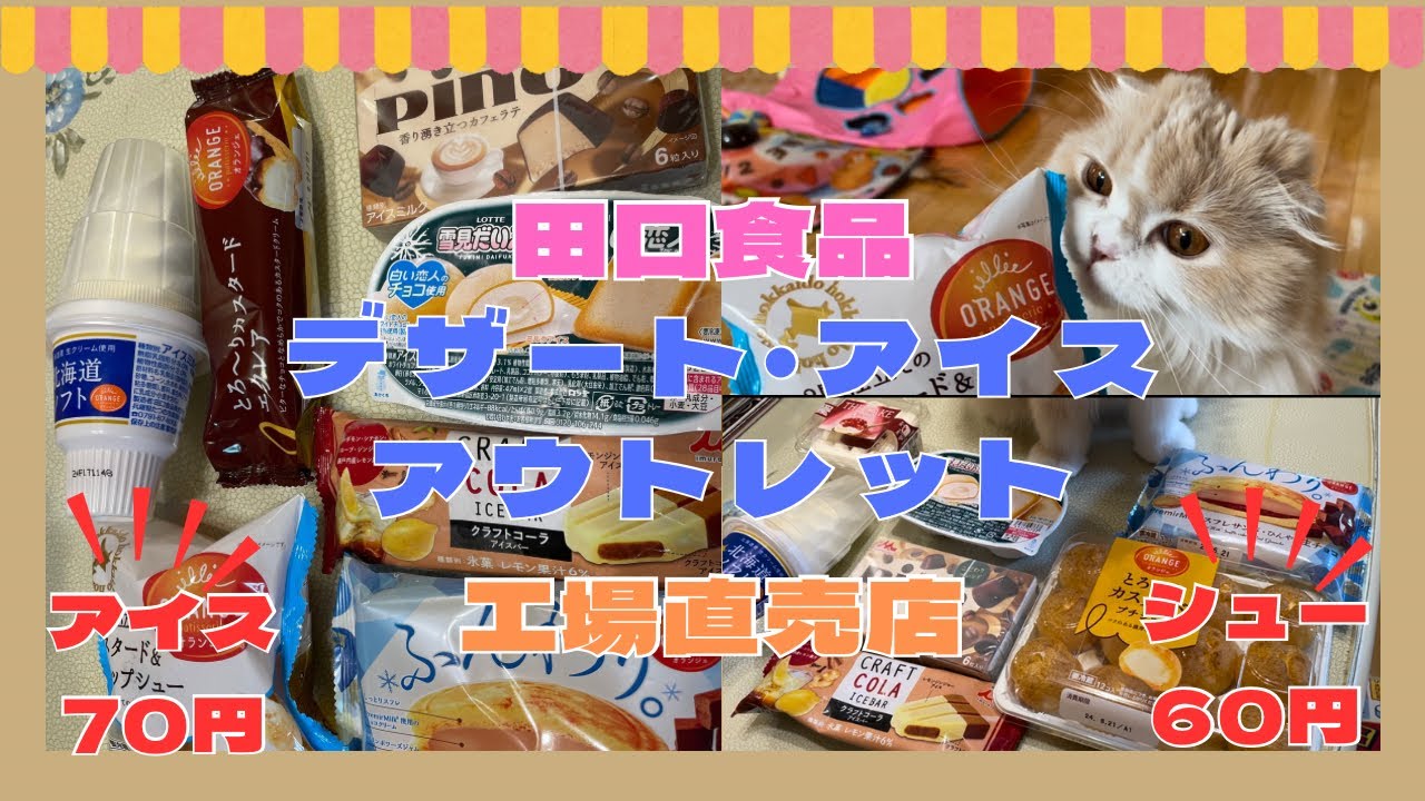 【神コスパ】デザート・アイス　アウトレット激安！田口食品直売所へ(スコティッシュフォールド)