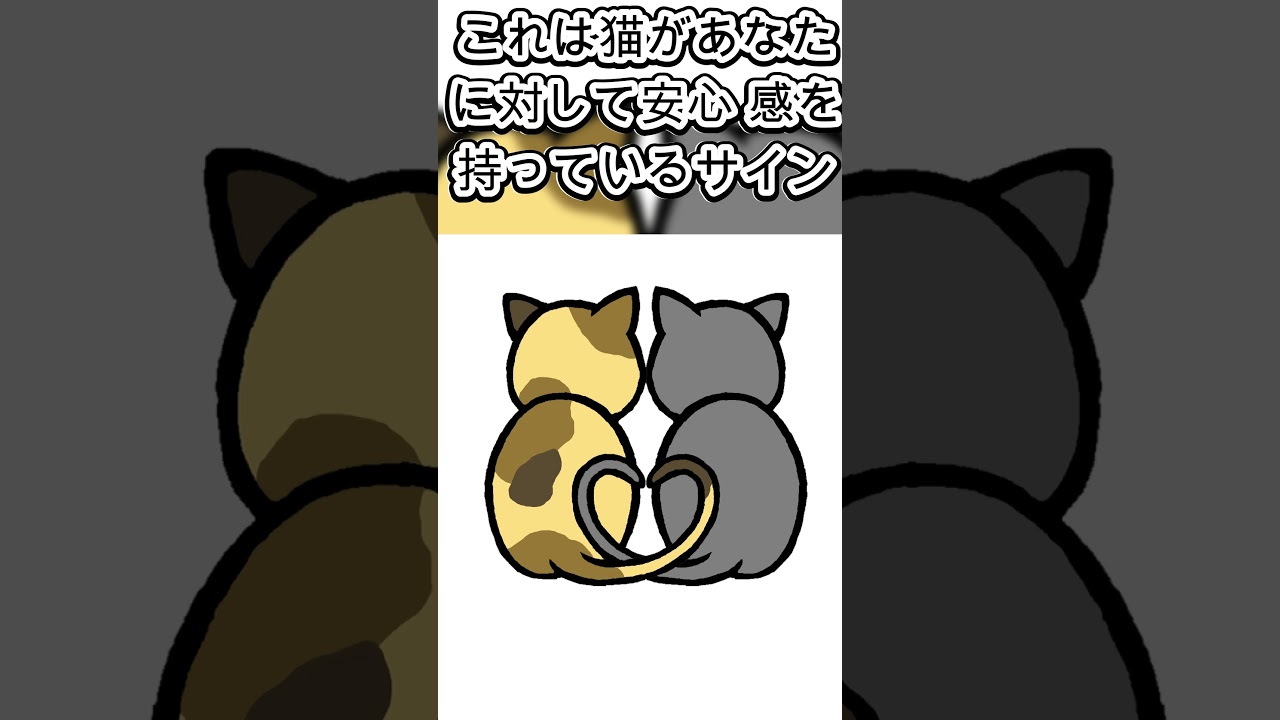 猫の行動を解説!飼い主必見のキュートな仕草  #猫#猫のいる暮らし #四国めたん #雑学 #shorts