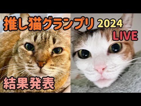 推し猫グランプリ２０２４結果発表