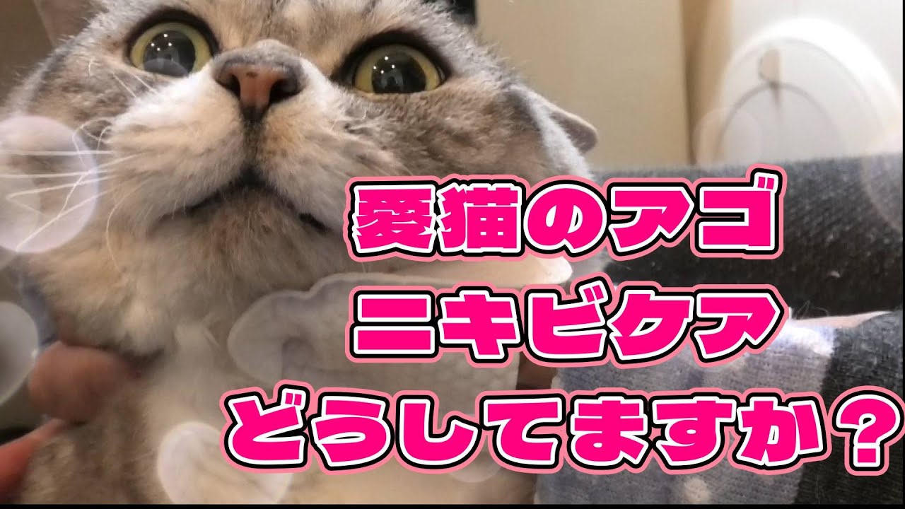 おすすめアゴニキビクリーナー紹介します♪