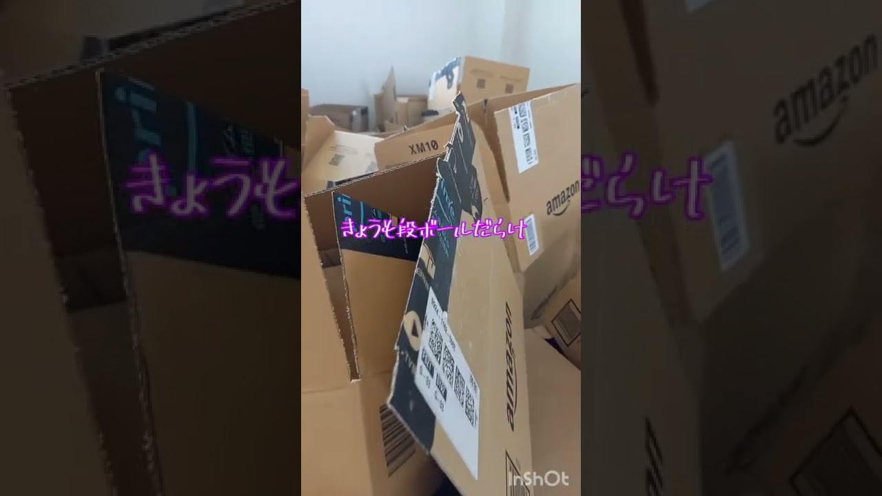 猫ちゃんよろしくね❤️/Yoroshiku Cat/オンライン日本語教師がお届けするニッポン！の猫