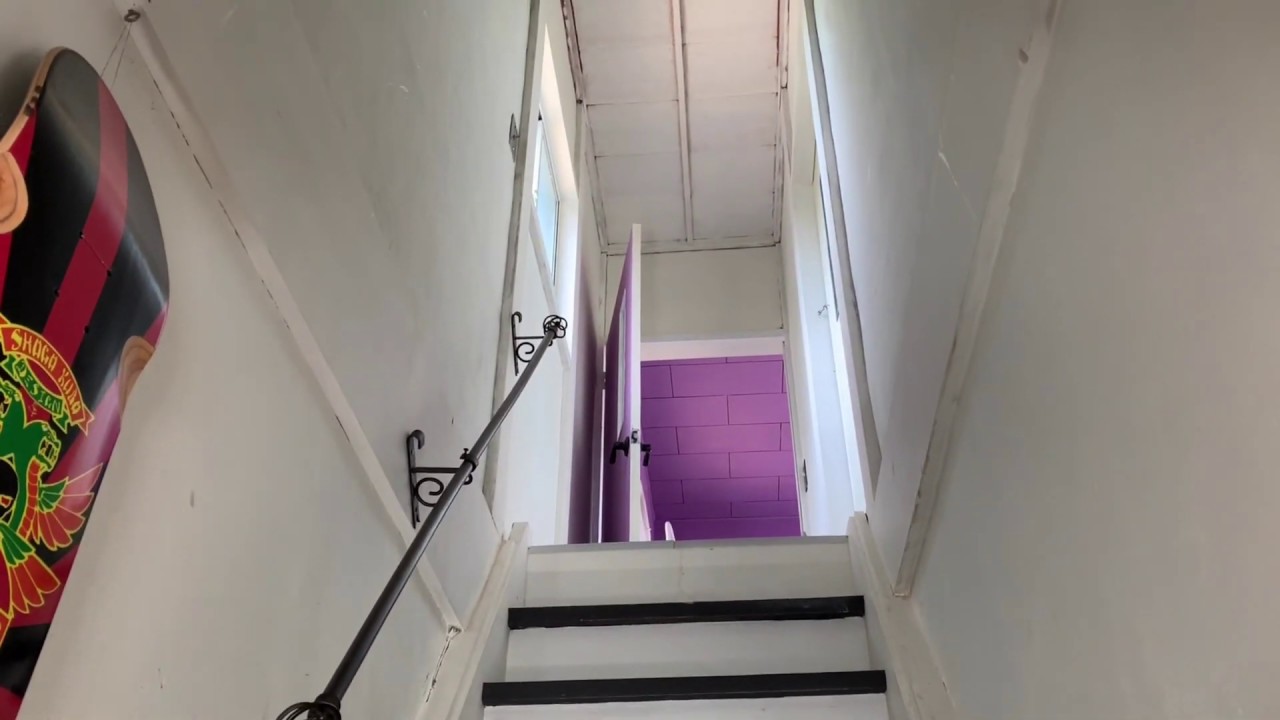 お返事する猫ルーシー☆黒猫ボンベイ