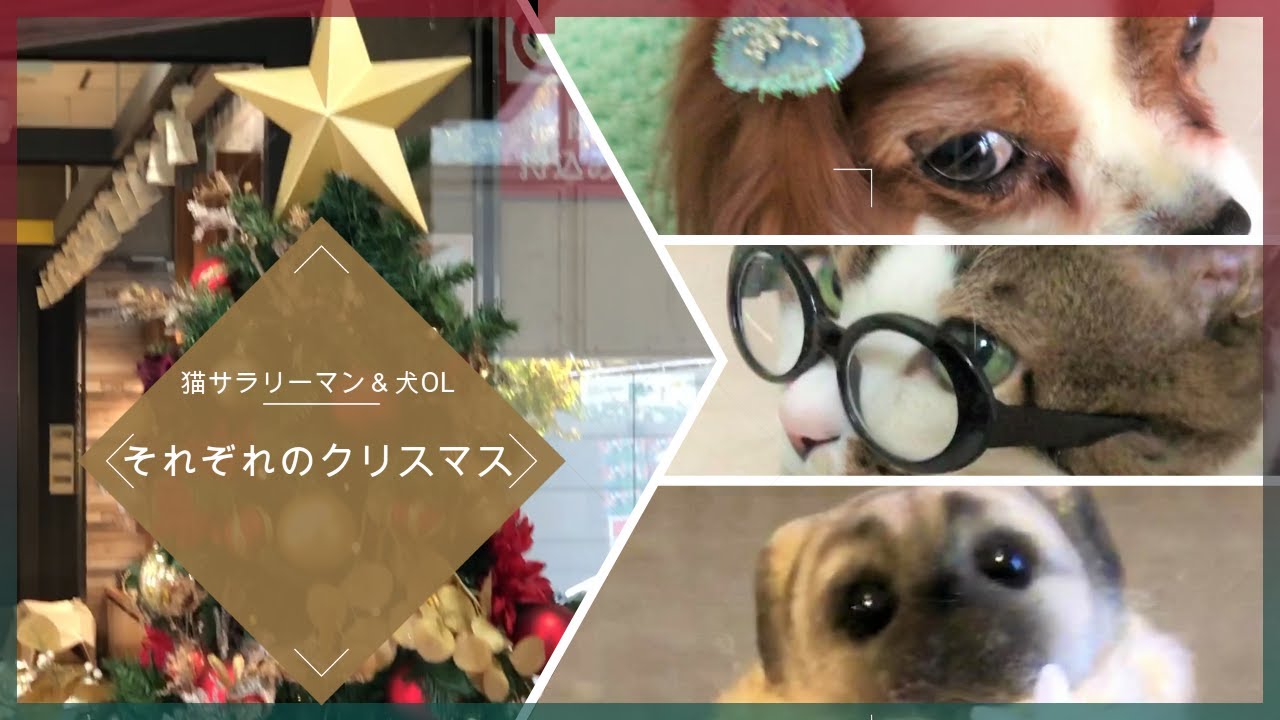 【日本猫＆キャバリア犬】可愛い2匹がサラリーマン＆OLに！！第61話「猫サラリーマン＆犬ＯＬ，それぞれのクリスマス」