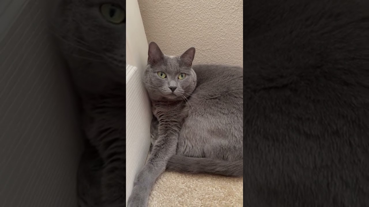 Waking up and confused 🥰