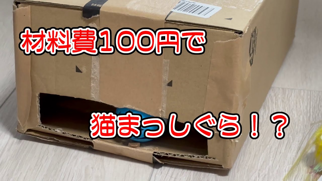 ダンボールで簡単！猫おもちゃを作ってみた【えび　ロシアンブルー】 #cat #ロシアンブルー #猫