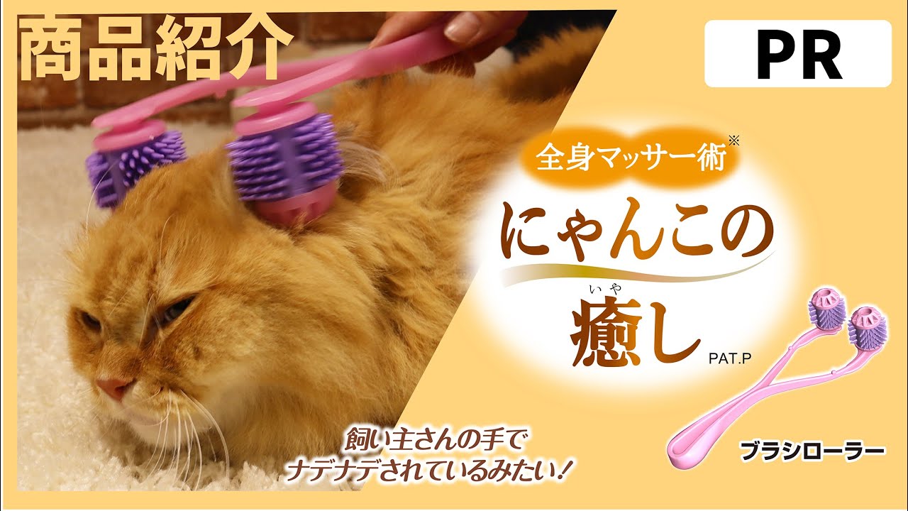 【PR商品紹介】🐱キャティーマン　全身マッサー術 にゃんこの癒し