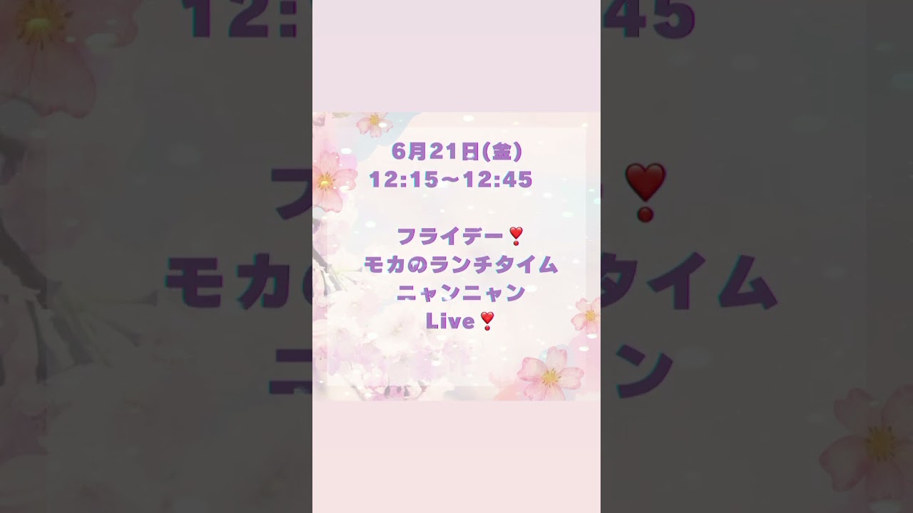 サイベリアンご紹介ライブではTV放送記念として豪華な割引キャンペーンを開催😻明日デビュー！両親外国産の美しいネヴァマスカレードの子猫2頭が初お目見えします。#サイベリアン #ペットショップ #ねこ