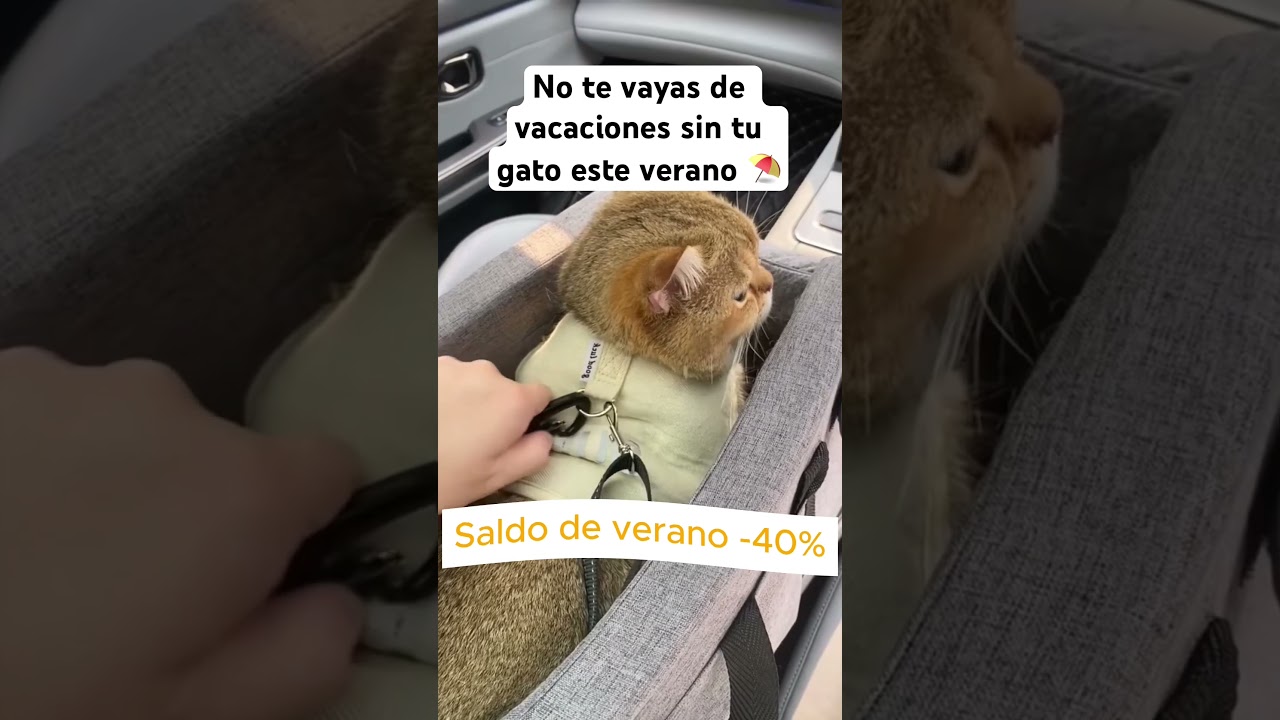 Asiento de coche para mascotas #gatos #perro