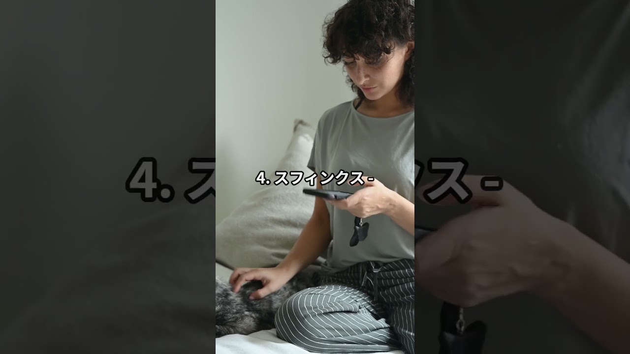 長生きする猫種ベスト5