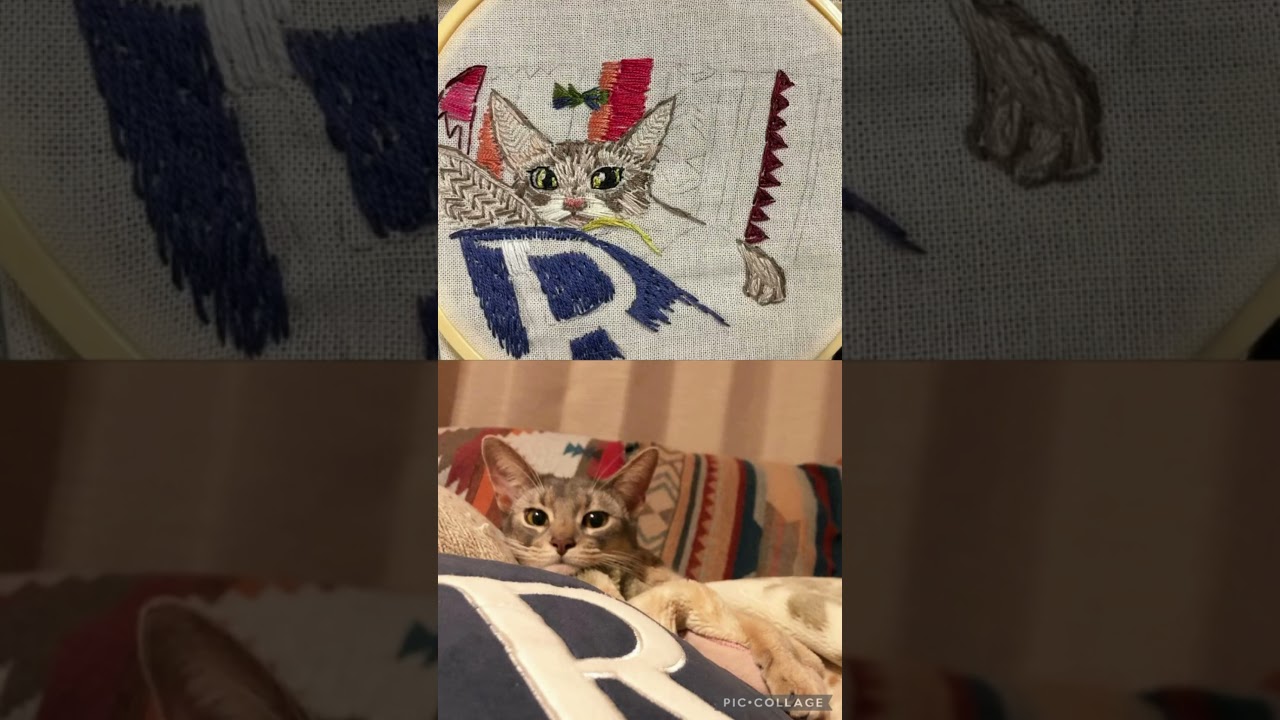 うちの猫さんの刺繍をしてみた #shorts #猫 #アビシニアン
