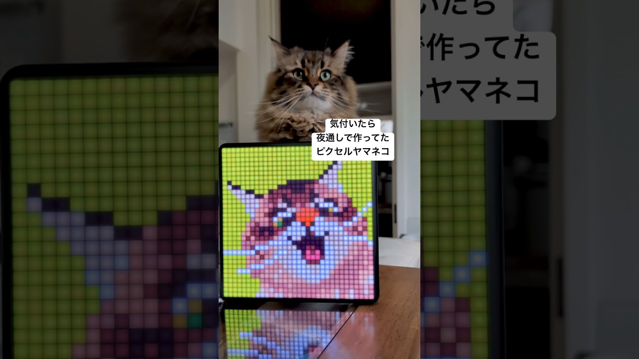 良いものできた気がする #cat #サイベリアン #divoom